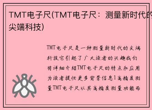 TMT电子尺(TMT电子尺：测量新时代的尖端科技)